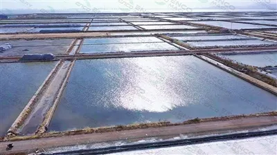 Trealamh Tionscail Oibreacha Salann: Innealra & Réitigh Táirgthe Salainn